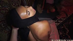 Arab Workshop Webcam - First Time Exposure!