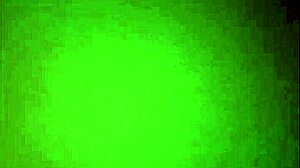 I Visited An Indian Woman In Her Room