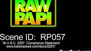 i watch this gay couple kissing and sucking big cocks before hard ass fucking