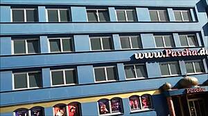 Hidden cam catches brothel action in Cologne Germany