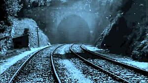 two centuries of vintage porn with group scenes and hairy elements