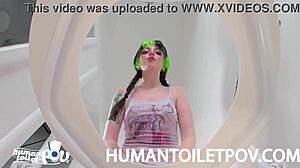 Kittycamtime shocked by human toilet surprise! 😲