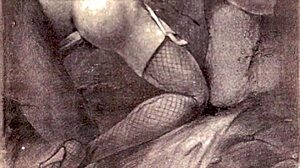 Винтажные эротические иллюстрации оживляют ретро шарм.