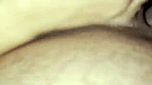 While returning home from the cinema in the car with friends, I started sucking the dick of the boy sitting behind me