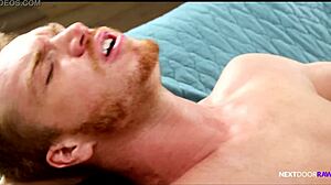 quin quire fucks landlord for rent