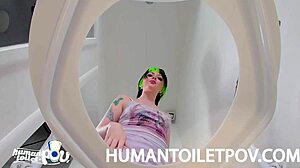 Kittycamtime shocked by human toilet surprise! 😲