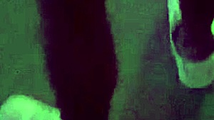 Novinha With Two On Swing