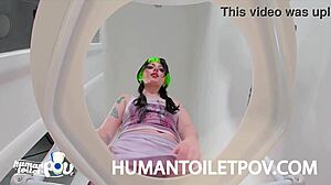 Kittycamtime shocked by human toilet surprise! 😲