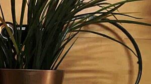 Pretty Mistress Disciplines Her Pussy with Solo Bondage Play