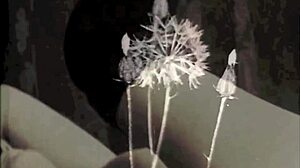 why did the chocolate and ginger get into that taboo interracial scene? it was so intense and forbidden