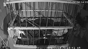 Watch the cagecam bondage feed.