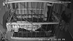 Watch the cagecam bondage feed.