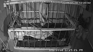 Watch the cagecam bondage feed.