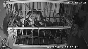 Watch the cagecam bondage feed.