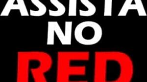 Brendafloripa enjoys sucking the big southern dick