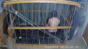 Watch the cagecam bondage feed.