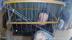 Watch the cagecam bondage feed.