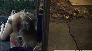 Brazilian BDSM domination unless you're from the sixties 😏