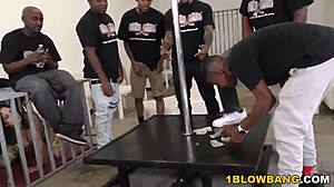 ashley adams in wild INTERRACIAL GANGBANG action with multiple guys.