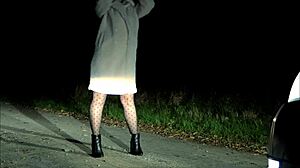 Unexpected Road Encounter Turns Into Wild Surprise  