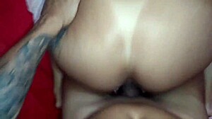 Anal amador casada arrombada