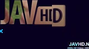 These still warm hairy pussies from Japanese amateurs vol 97!