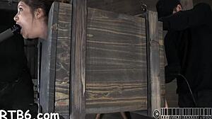 Couple Seduces Babe For Hardcore Blowjob And Facial 😏