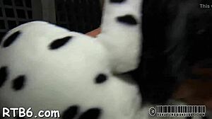 tight bondage fucking with wet pussy and blowjob