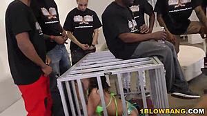 ashley adams in wild INTERRACIAL GANGBANG action with multiple guys.