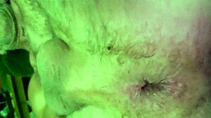 Dildo Fucking Gay Ass