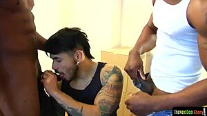 Cocksucking threesome jock servicing blacks