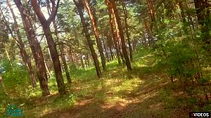 सौतेला भाई मेरी पैंटी में कमिंग कर रहा है, अब खींचो ऊपर!