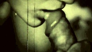 Desenhos eróticos vintage com personagens de cartoon retrô