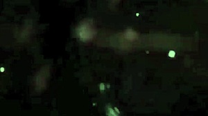 disegni erotici vintage con svolta bollente