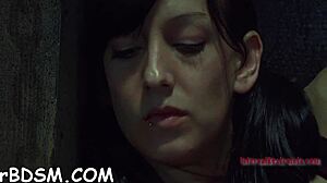 Check this wild 10-pounder ball torment action now!