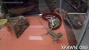 Does the playful whore groan while sucking?