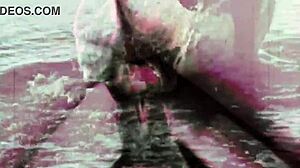 В старину запретная волосатая пизда еблась на улице в винтажном стиле.