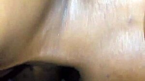 amateur satin sheetz giving head in a steamy short clip  