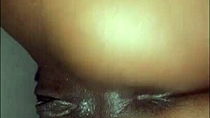 alicinha moans sweetly as her big ass gets hardcore interracial anal fucking