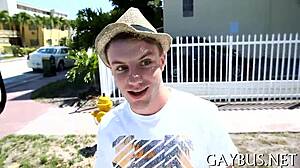 Pleasuring with Homosexual Partner