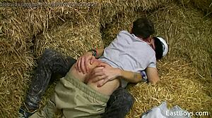 哇，看这些18岁小鲜肉吸吮和磨蹭的热辣行动！