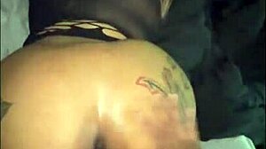 كالي إكس أو إس اعرض لزبك على جسمي الممتلئ وصدري الكبير! شاهد كسي يهتز. 😍