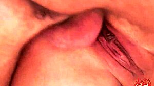 i got drilled by dandy mary-rider, dirty cougar