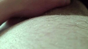 I got my dick sucked