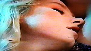 Randy West Vintage Porn Collection