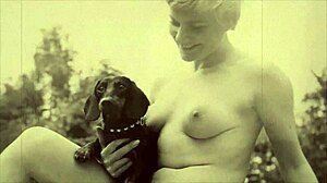 Dark Lantern presents Beauty and the Beast in vintage style