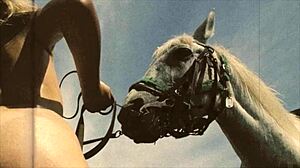 Dark Lantern presents Beauty and the Beast in vintage style