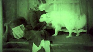 Dark lantern entertainment presents beauty and the beast