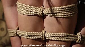 Look At Sofi Tied Up!