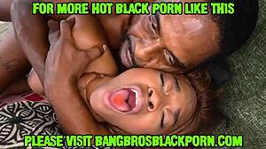 Super Hot Black Babe Enjoys Exotic Adventure With Monster Cock And Big Ass